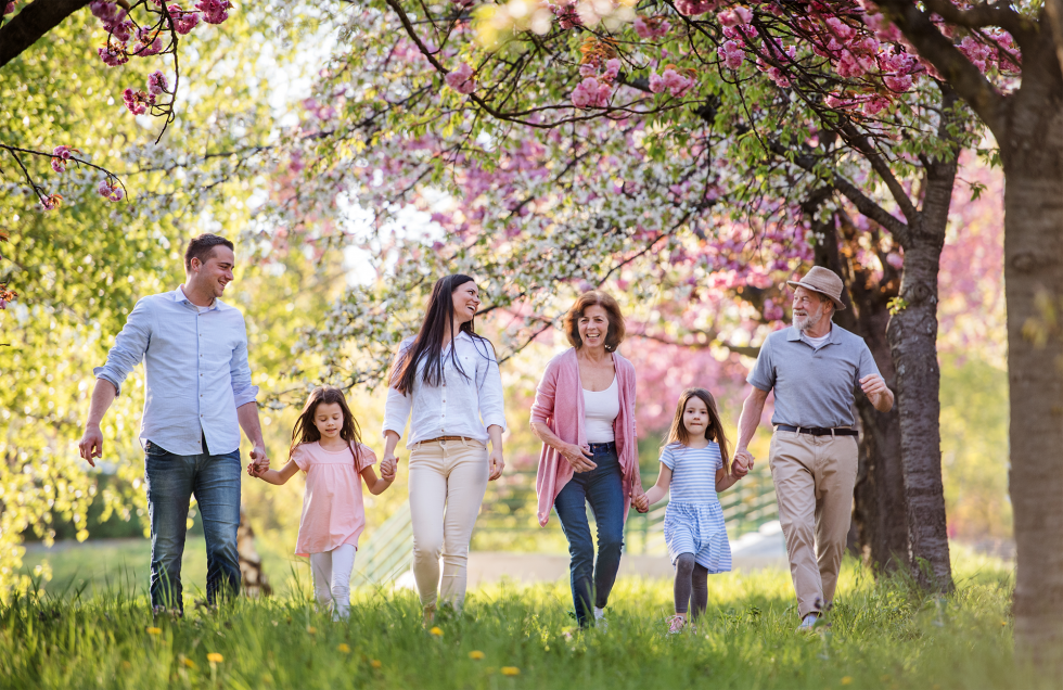 Famille de trois générations se promenant main dans la main sous des arbres en fleurs